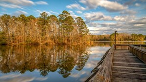A wooden pier extending into a calm lake, surrounded by a dense forest of trees.