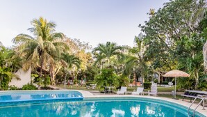 Une piscine entourée de palmiers et de chaises longues.