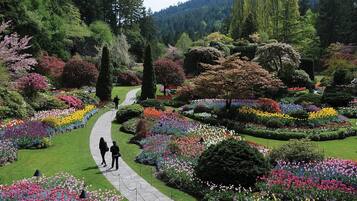 A garden with a paved walkway surrounded by colorful flower beds and trees.
