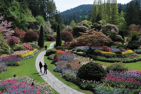 Un jardín con un camino empedrado, rodeado de macizos de flores coloridos y árboles.