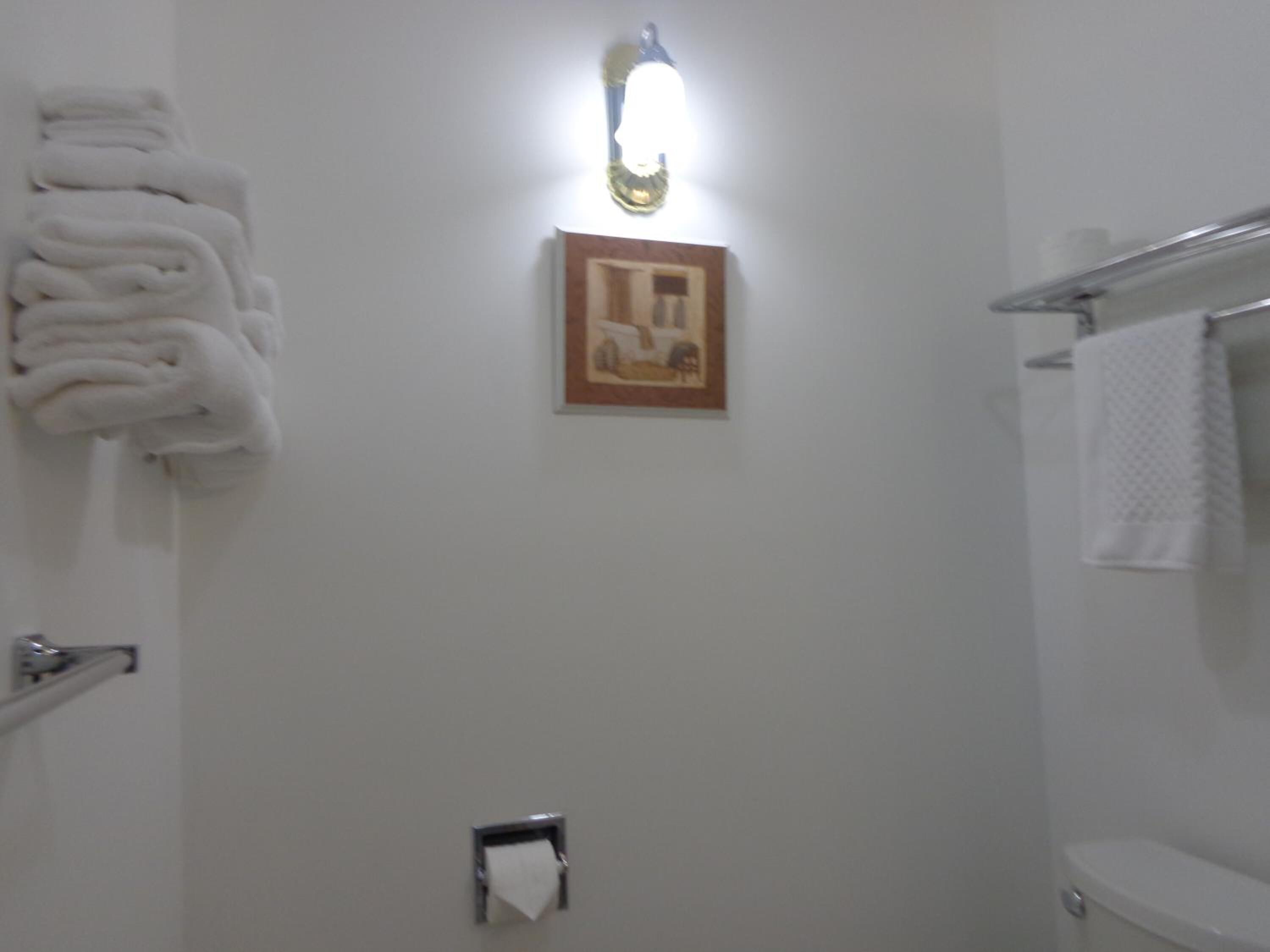 Duschwanne, Haartrockner