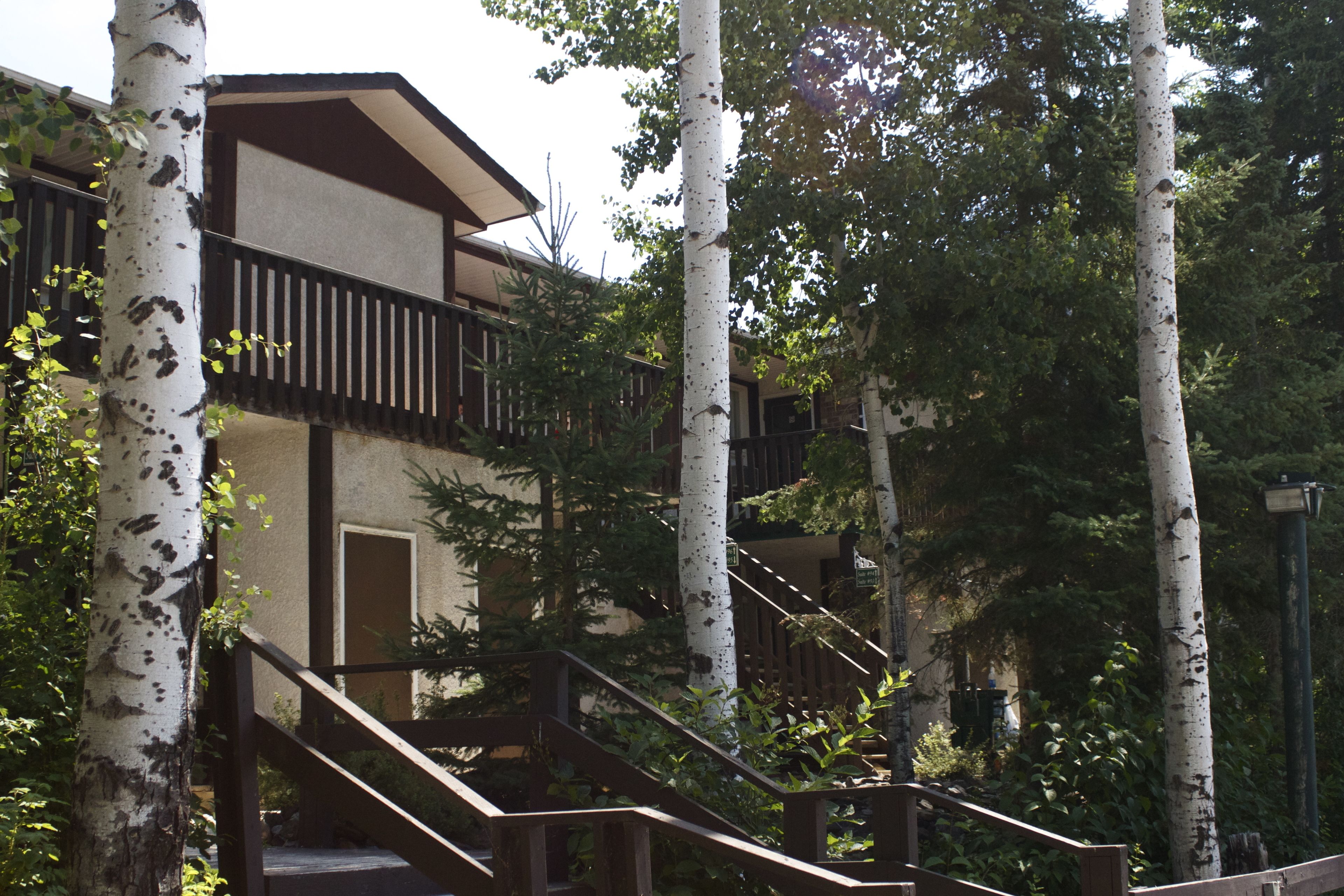 A multi-story building with a balcony and wooden stairs, surrounded by birch trees.