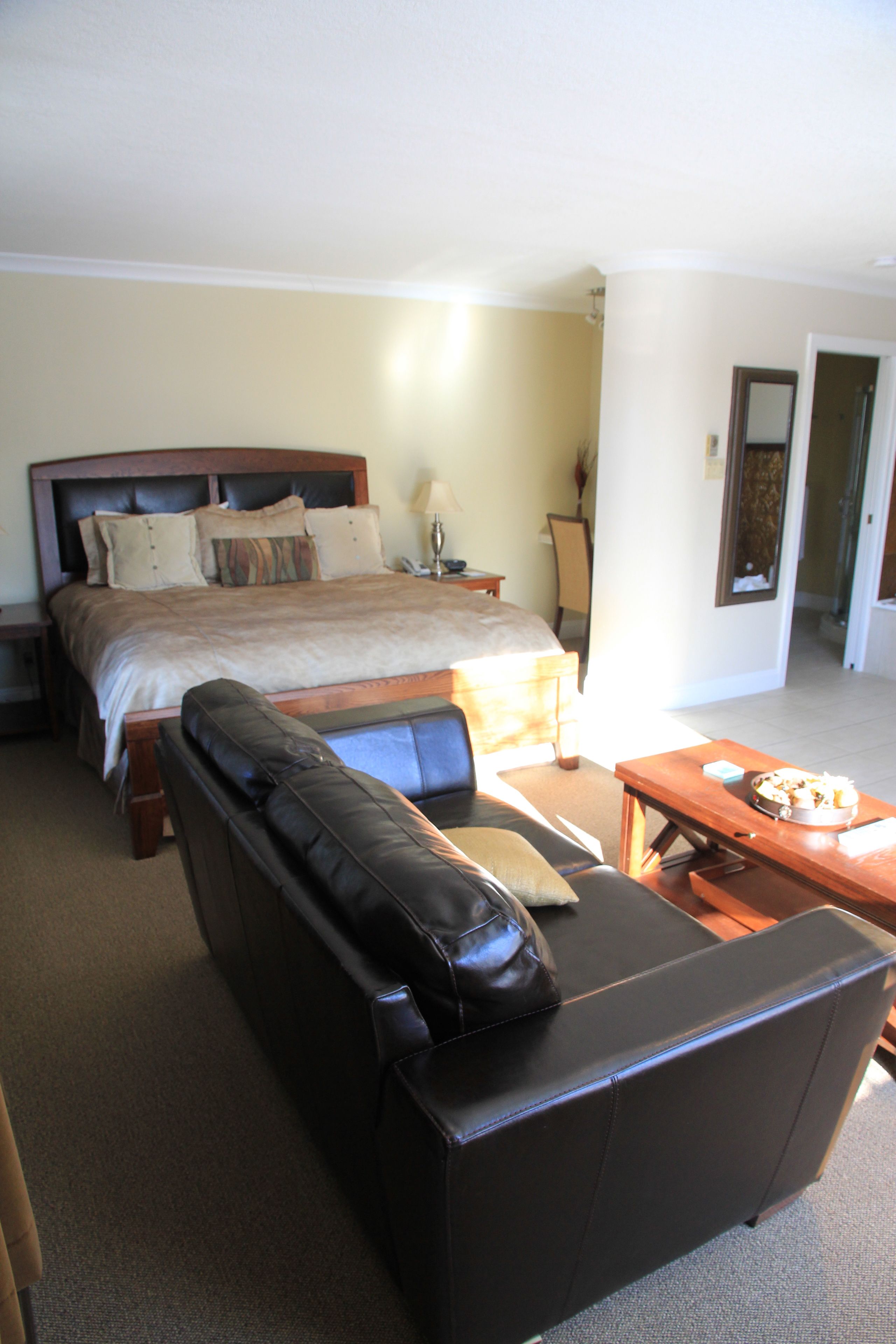 Suite exécutive, 1 très grand lit, baignoire à jets | Aire de séjour | Téléviseur au plasma de 51 po avec télévision par câble, téléviseur