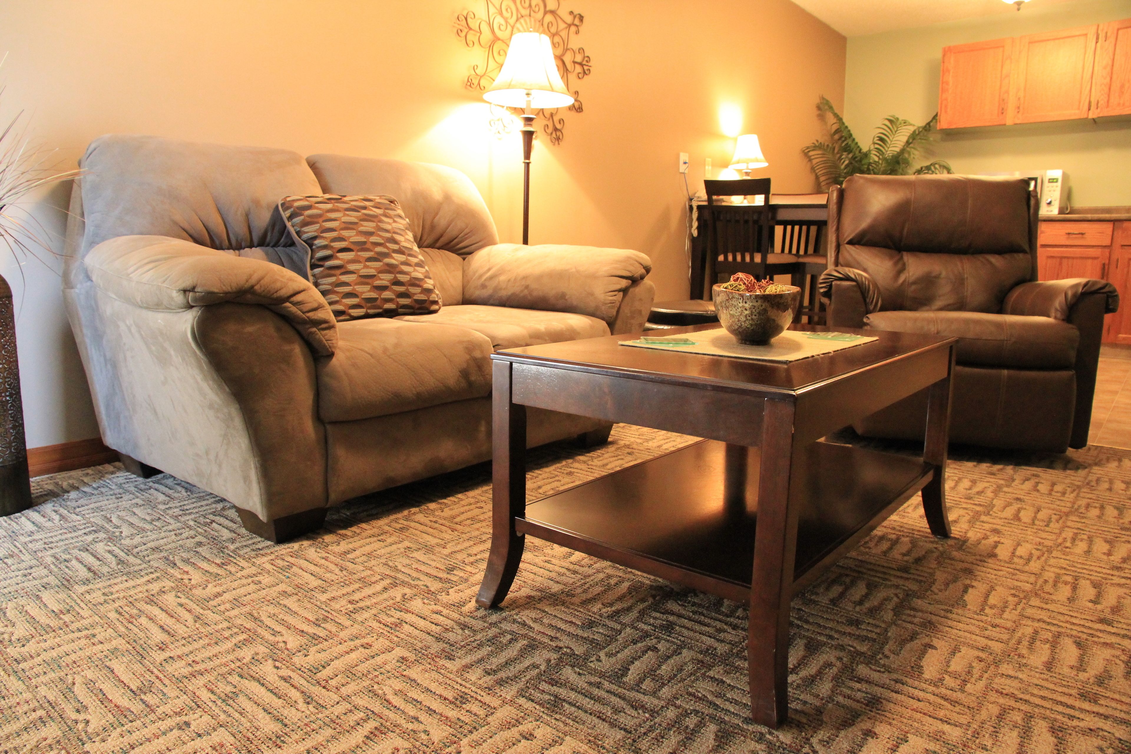 Suite exécutive, 1 très grand lit (Contemporary) | Salle de séjour | Téléviseur au plasma de 51 po avec télévision par câble, téléviseur