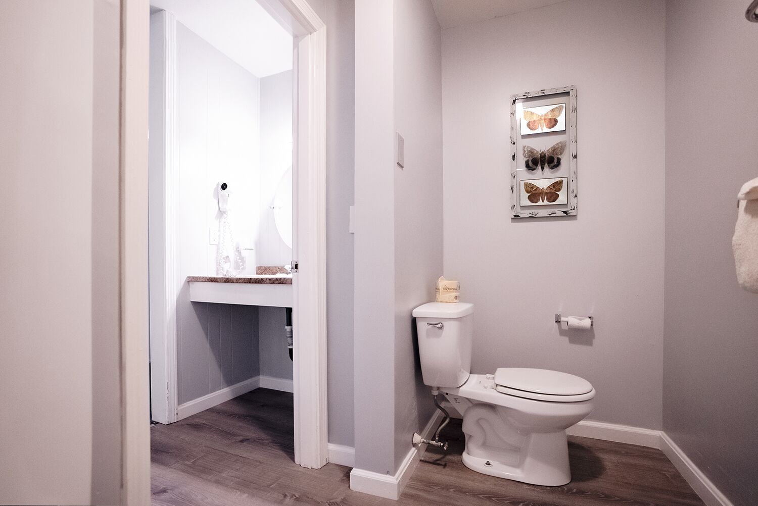 Un baño con inodoro, lavabo y ducha. Hay un cuadro decorativo con una mariposa en la pared.