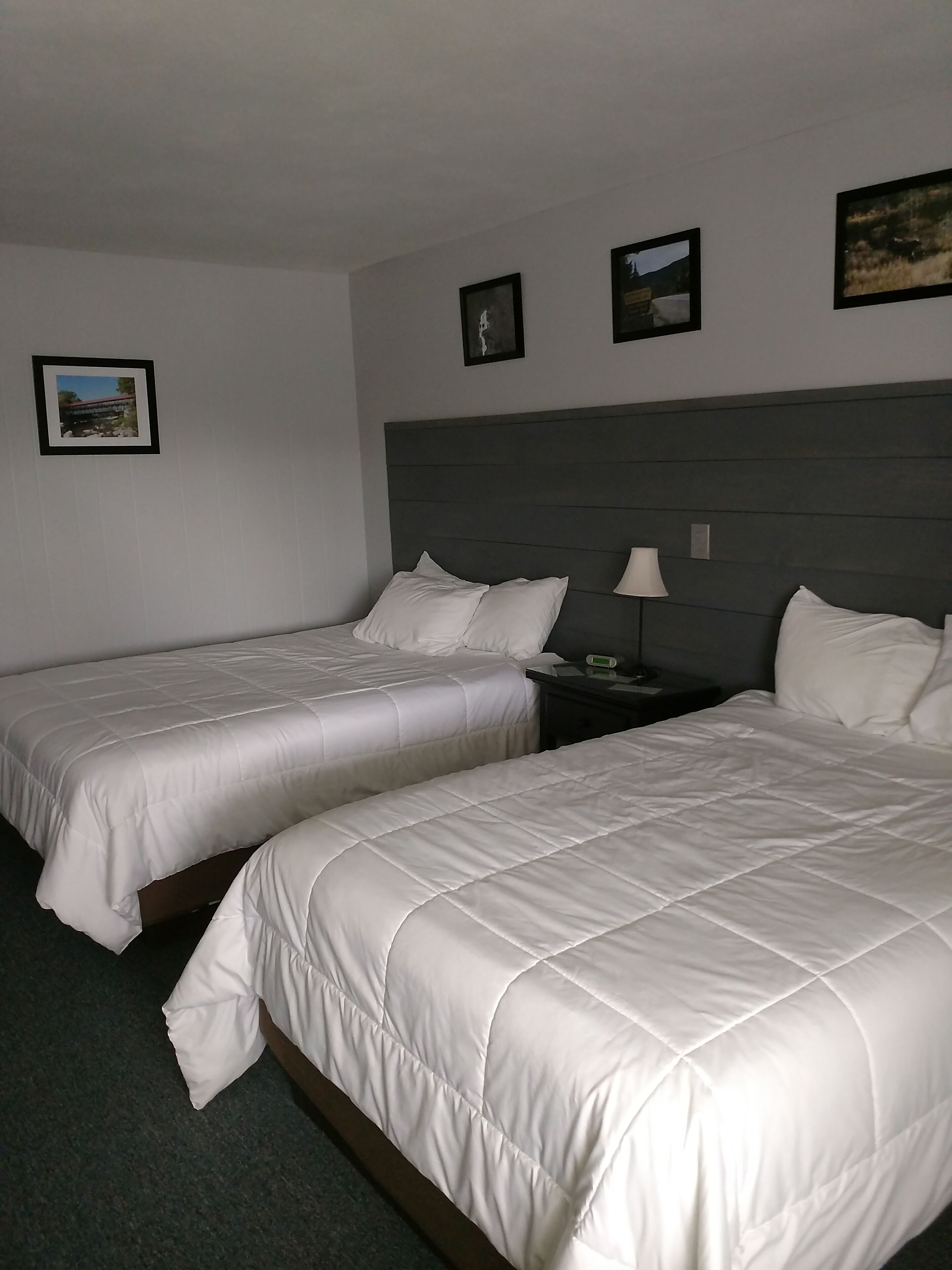 A hotel room with two beds, a nightstand, and a lamp.