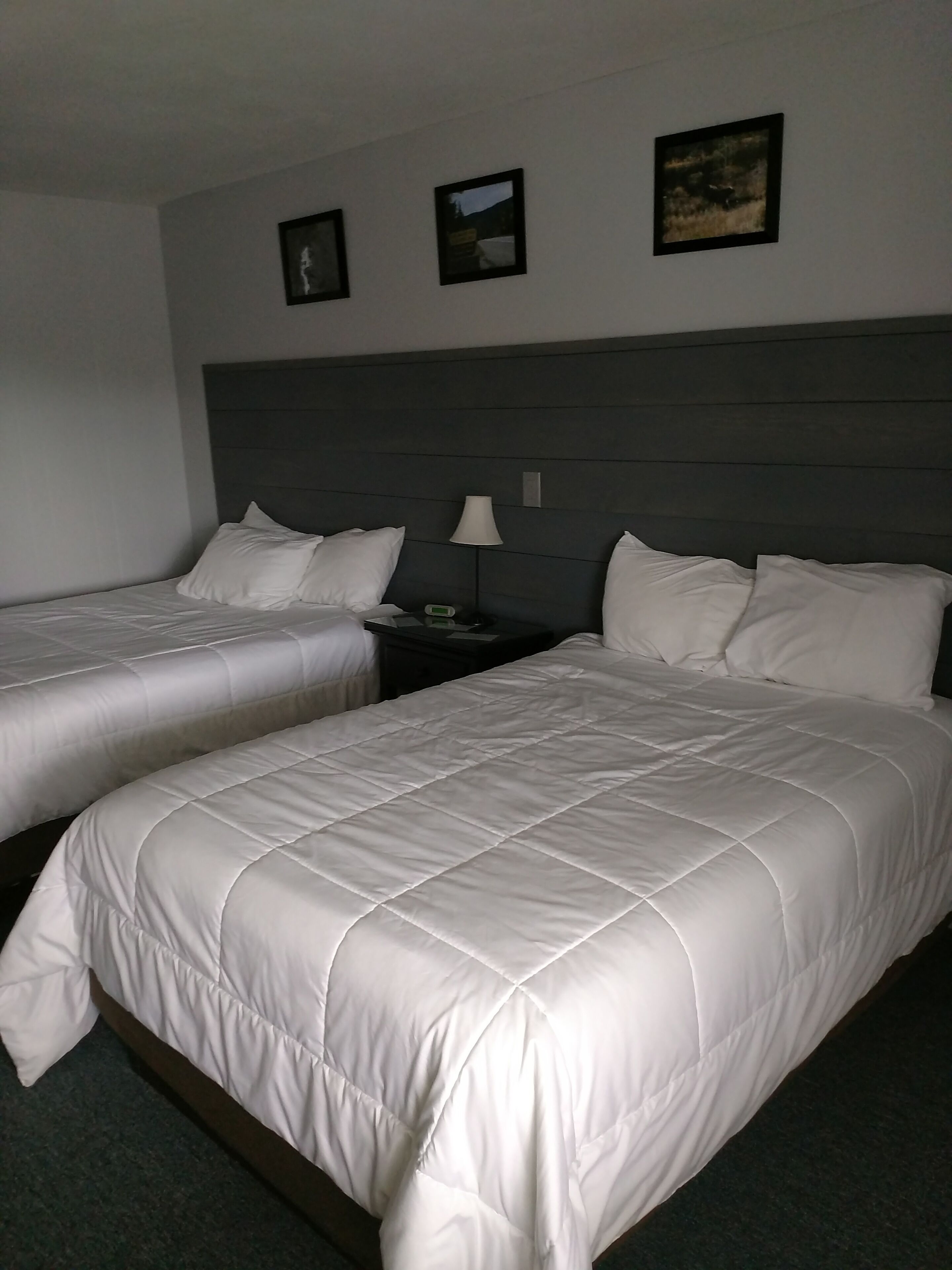 A hotel room with two single beds, a nightstand with a lamp, and three framed pictures on the wall.