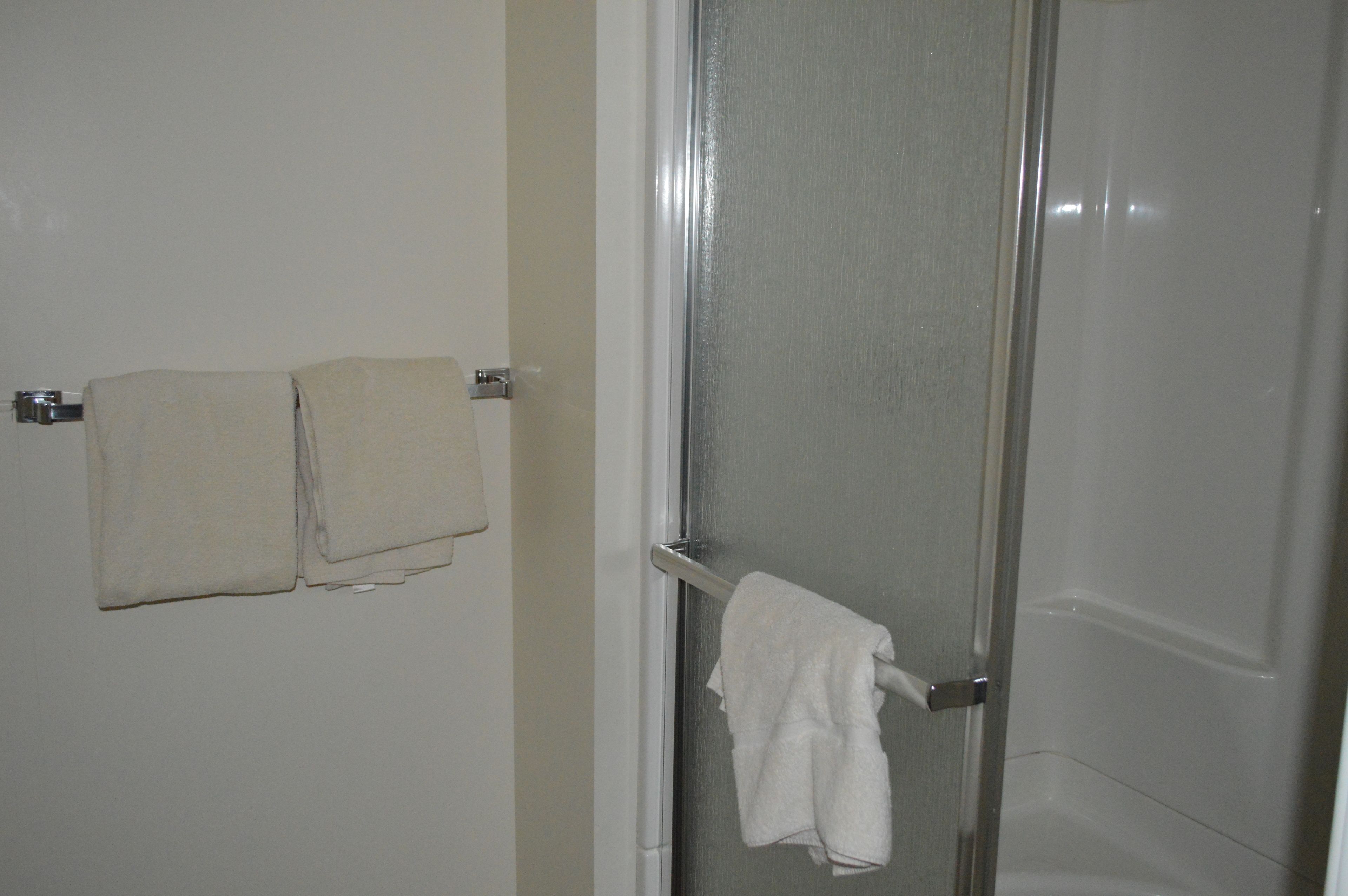 Un baño con mampara de vidrio, un perchero con dos toallas y una pared lisa.