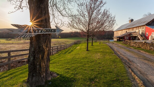 A rustic barn with a dirt path leading to it, surrounded by a fenced area and a tree. - The Inn at Buck Hollow Farm (Fairfax)