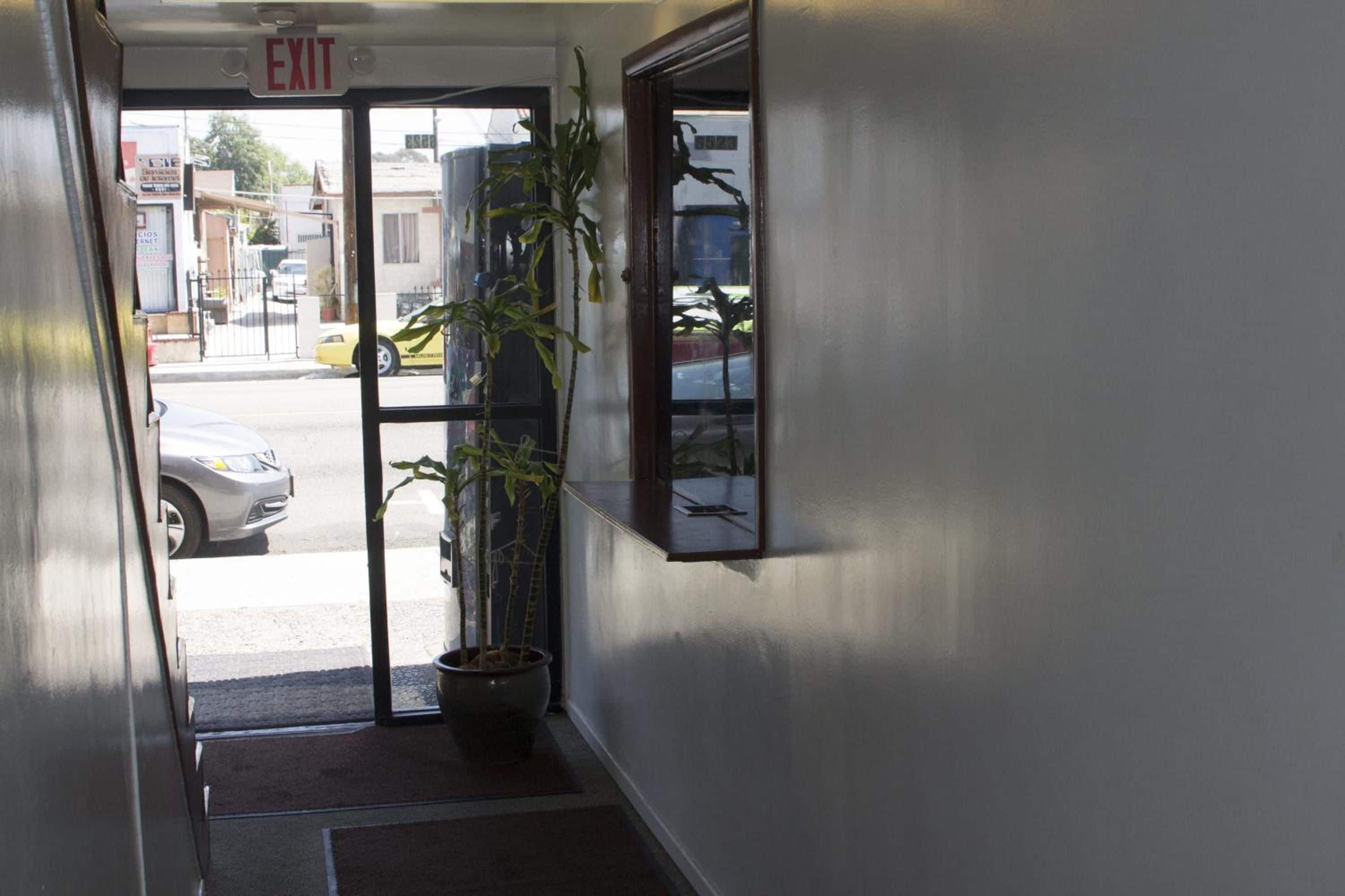 An interior hallway with an exit door, a potted plant, and a wall-mounted shelf.