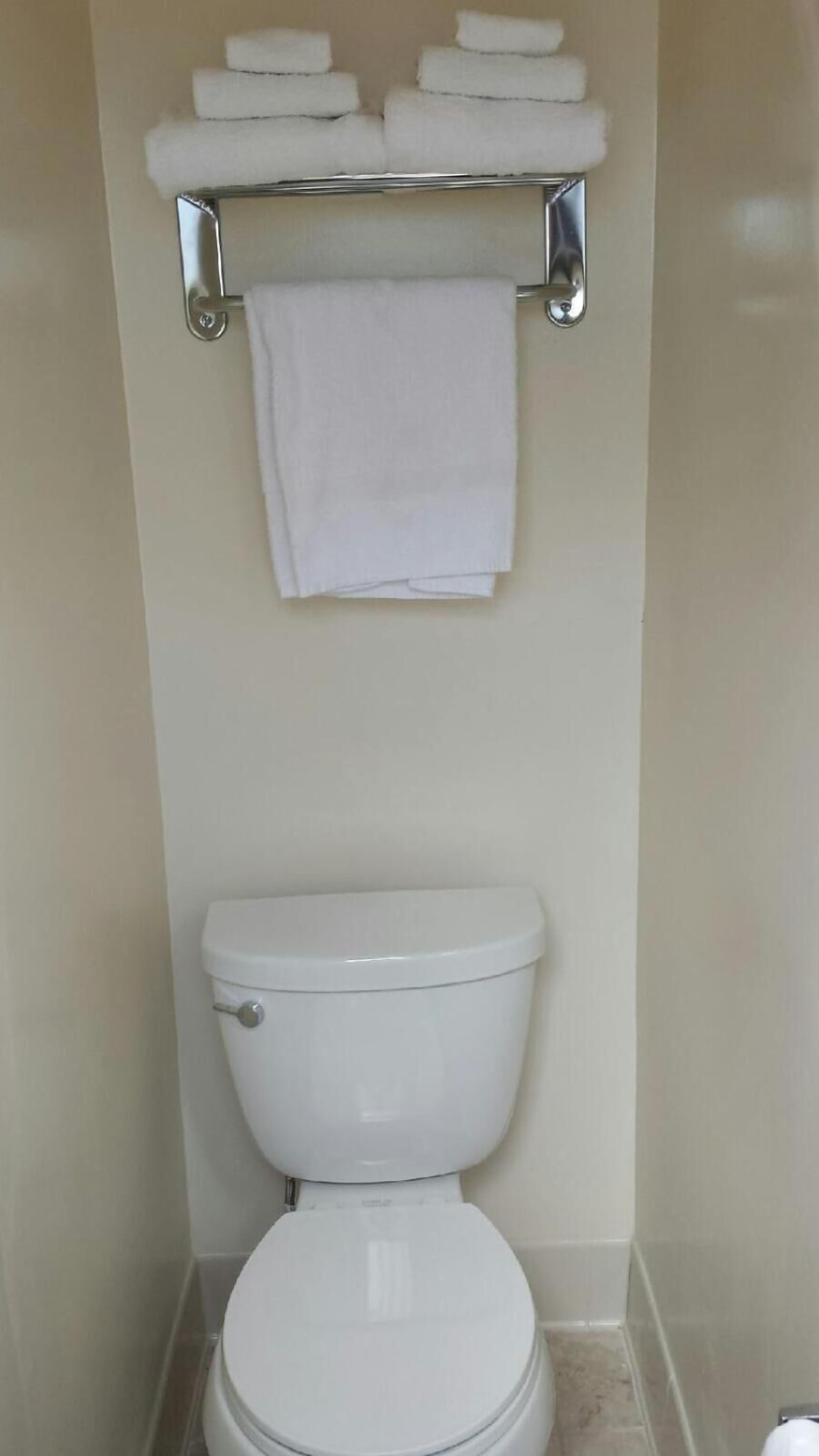 A bathroom with a toilet, a towel rack with folded towels, and a wall-mounted towel.