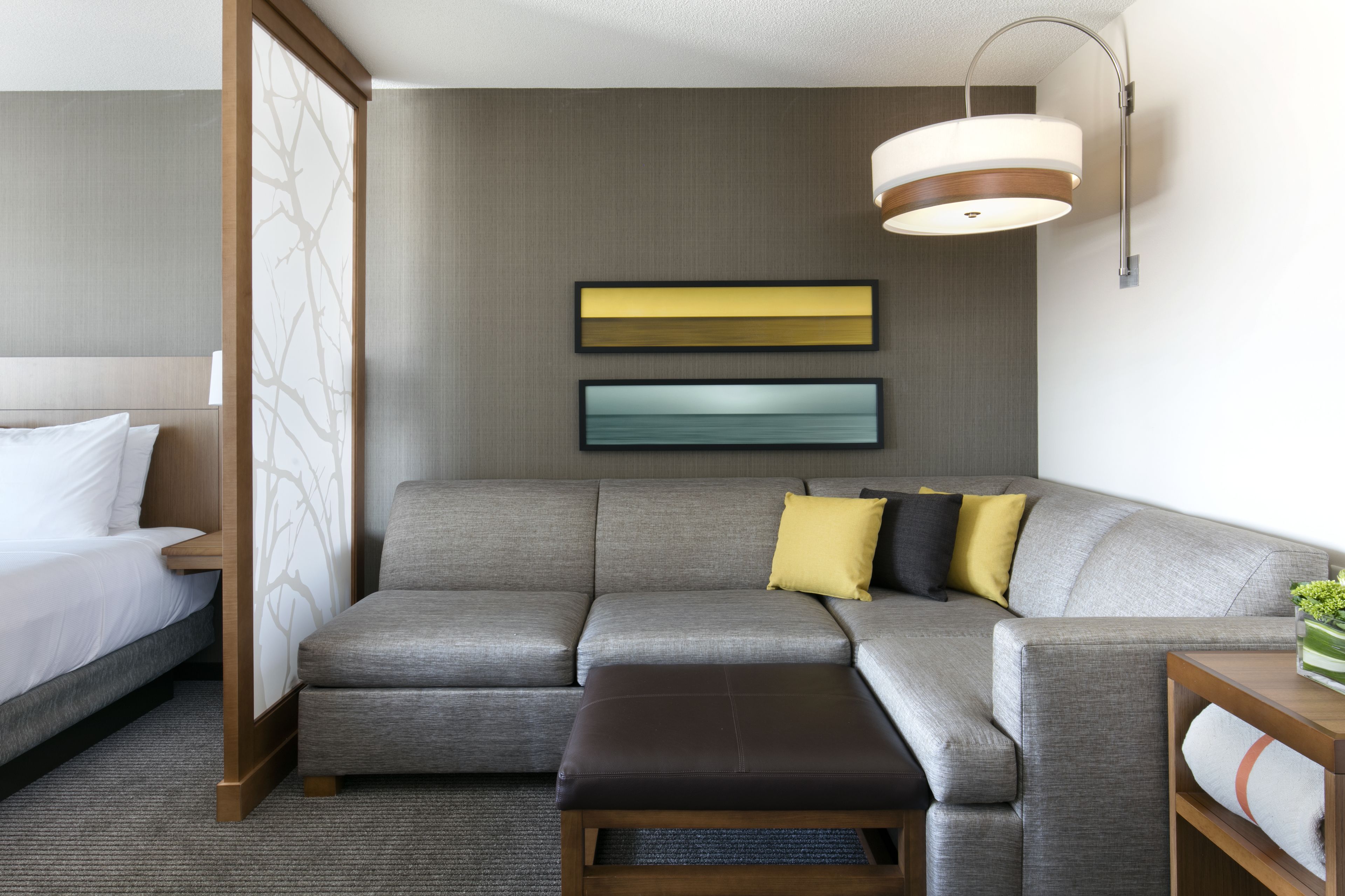 42-inch tv with cable channels, pay films, mp3 dock