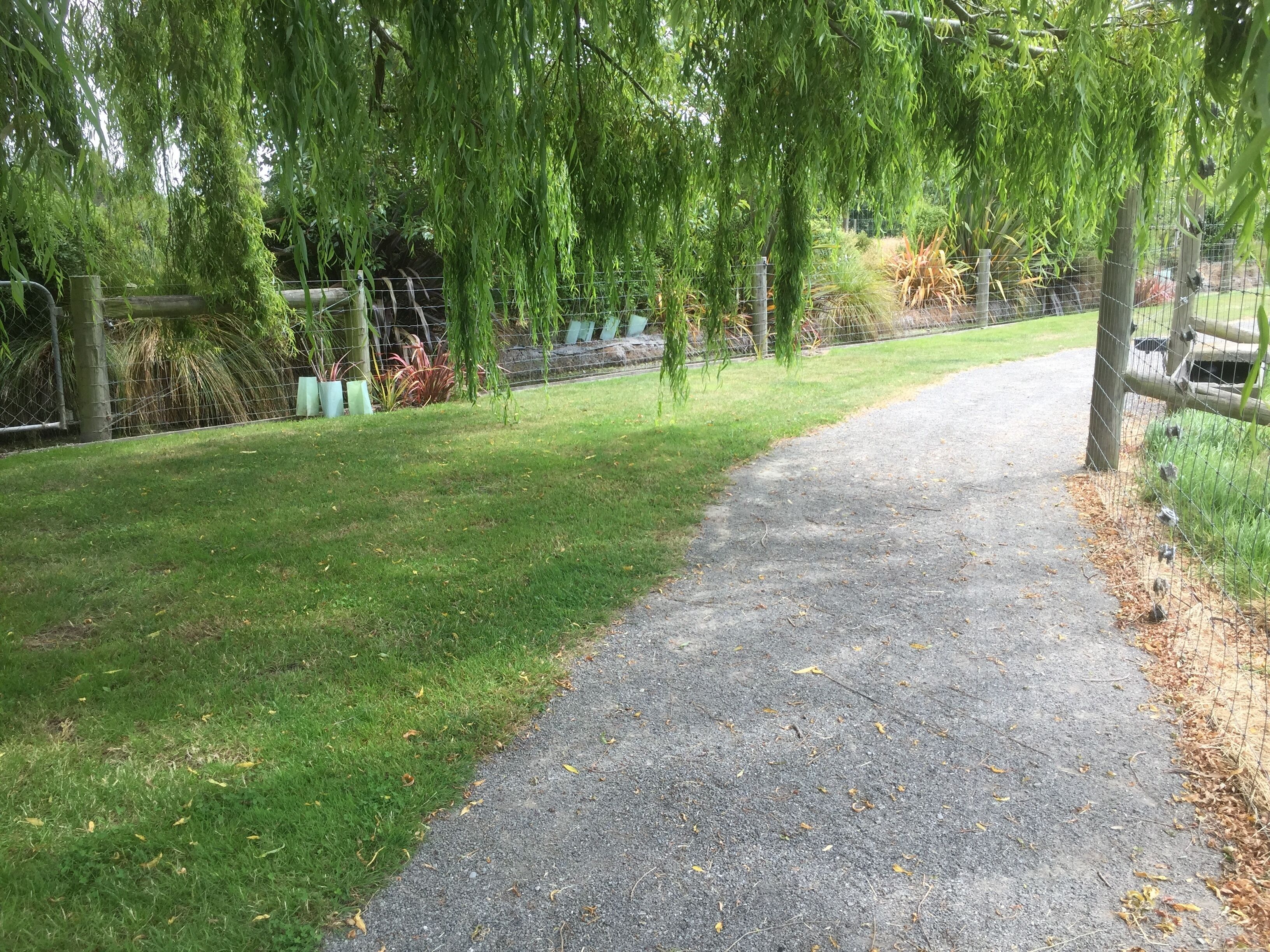 Un chemin pavé bordé d’une végétation luxuriante et d’une clôture en fil de fer.