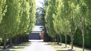 A driveway leading to a garage with trees lining both sides. - The Meadows Villa (Christchurch)