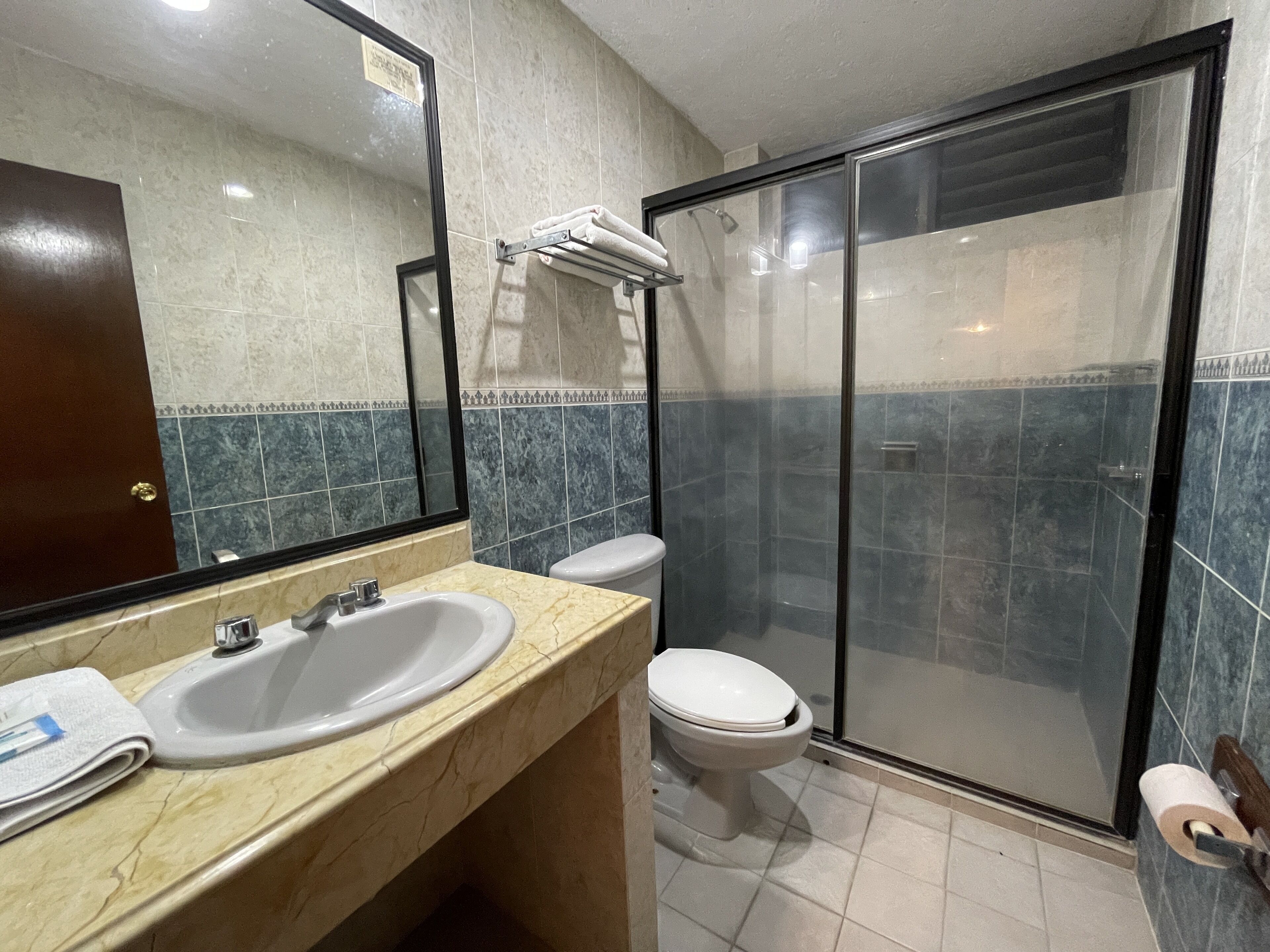 standard double room | bathroom | shower, towels, soap, shampoo
