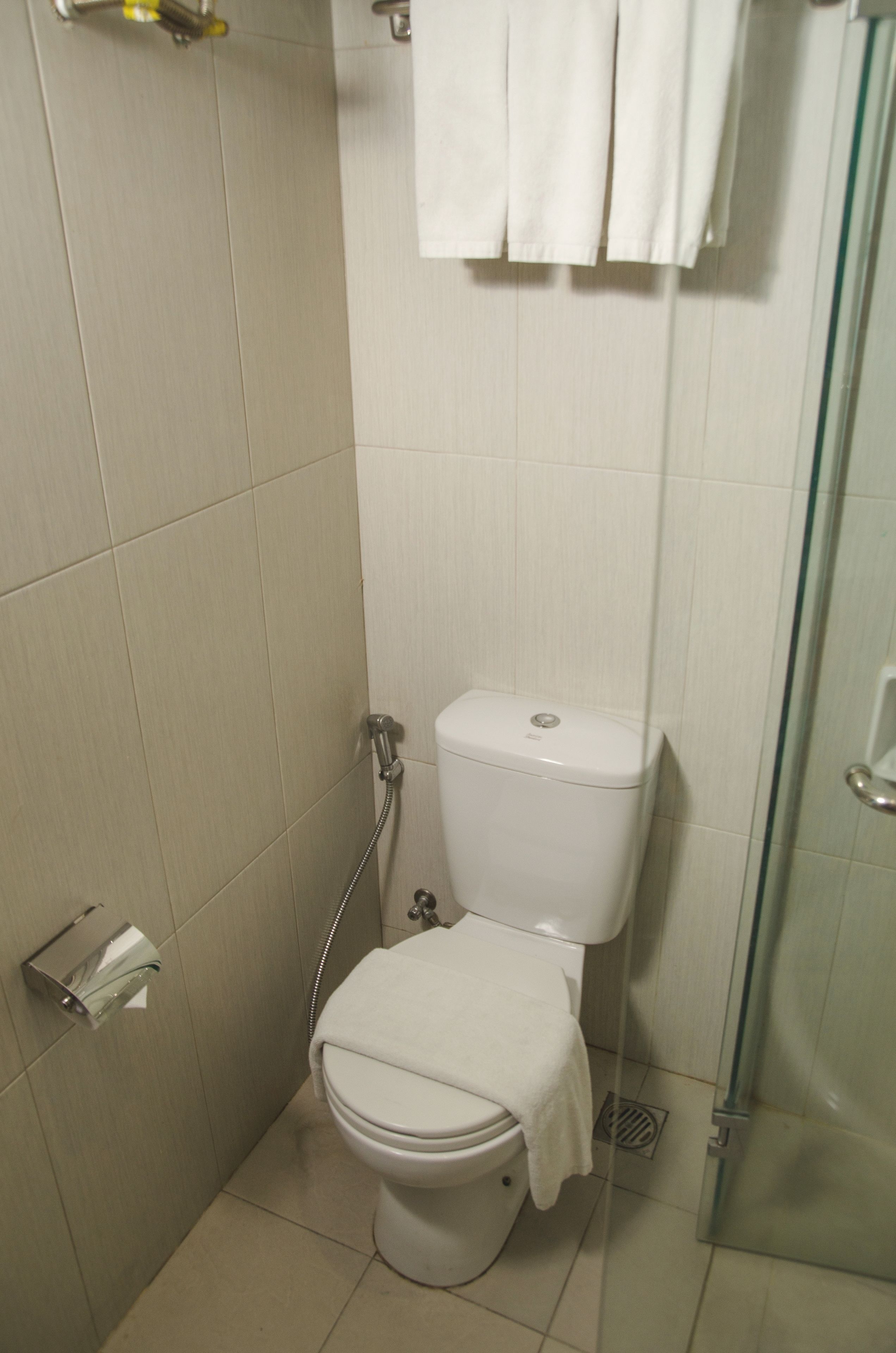 A small, clean bathroom with a toilet, a glass shower enclosure, and a towel rack.