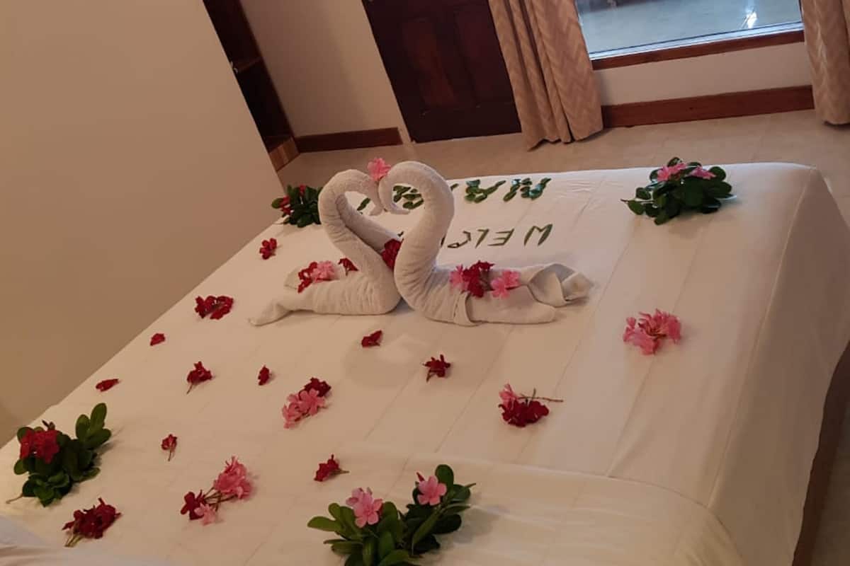 Standard Double or Twin Room | In-room safe, soundproofing, rollaway beds, free WiFi