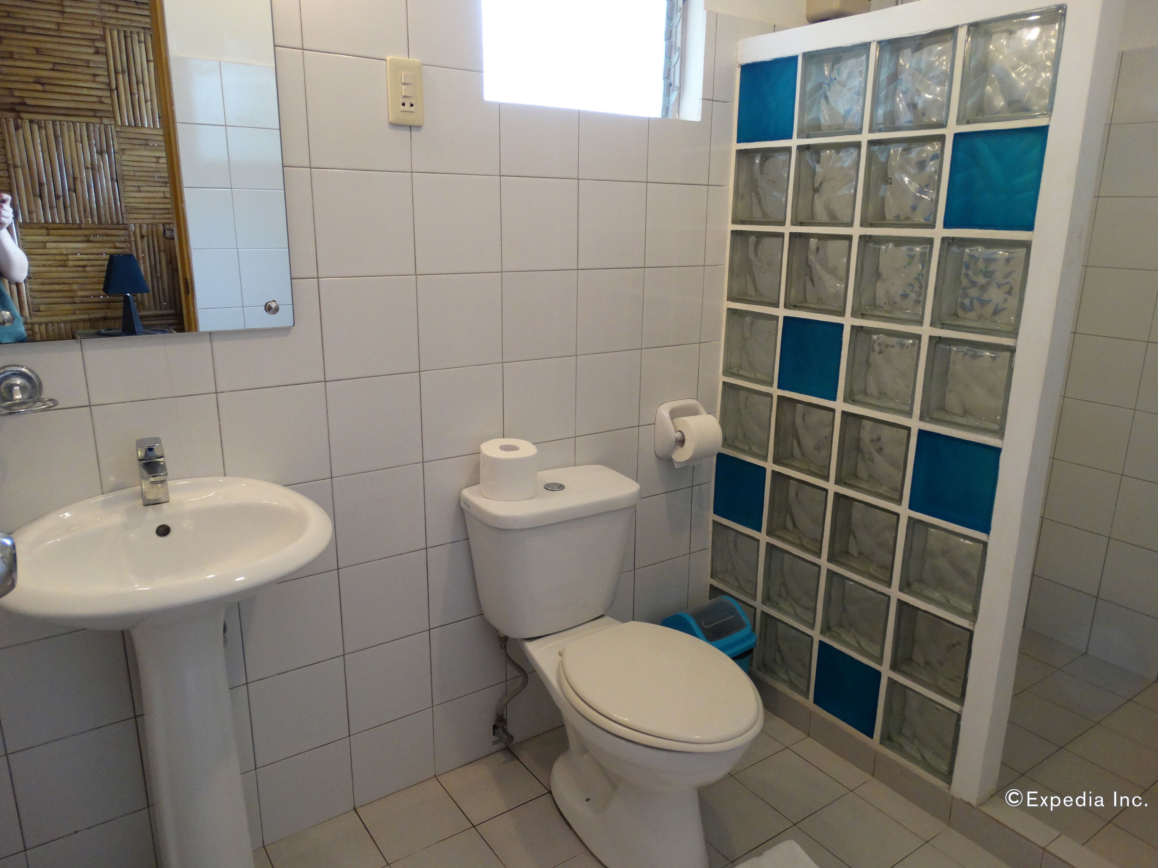 ocean view bungalow standard with air conditioning | bathroom | shower, free toiletries, hair dryer, slippers