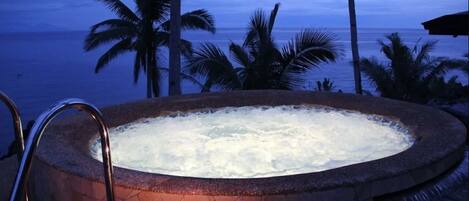 A hot tub with a stone exterior, surrounded by palm trees and overlooking the ocean.