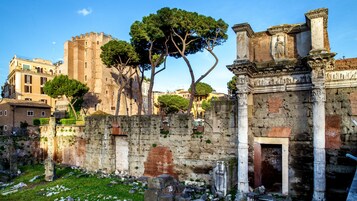 Ancient ruins with stone columns and a large tree in the foreground.
