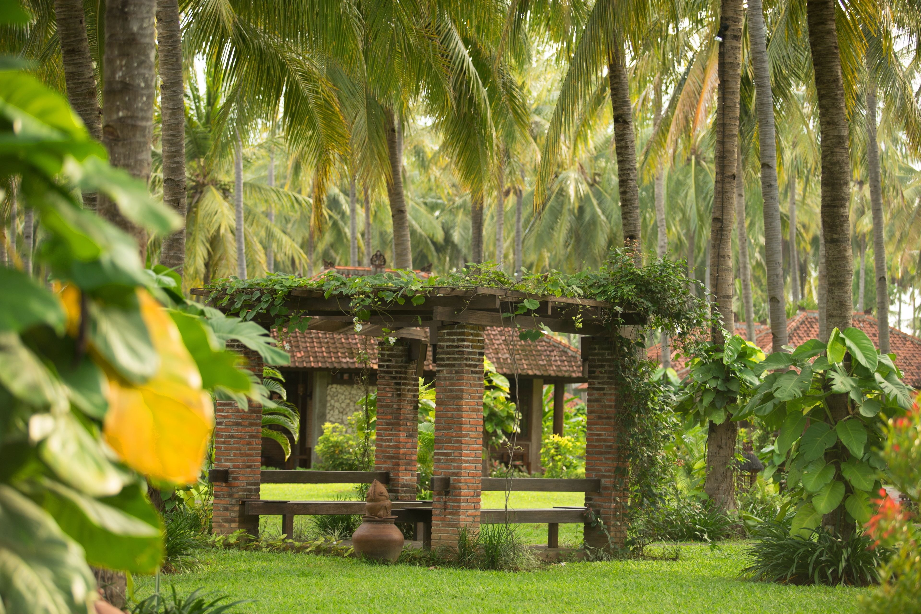 Ein Garten mit einem Ziegeln-Gazebo, einer Bank und Palmen.