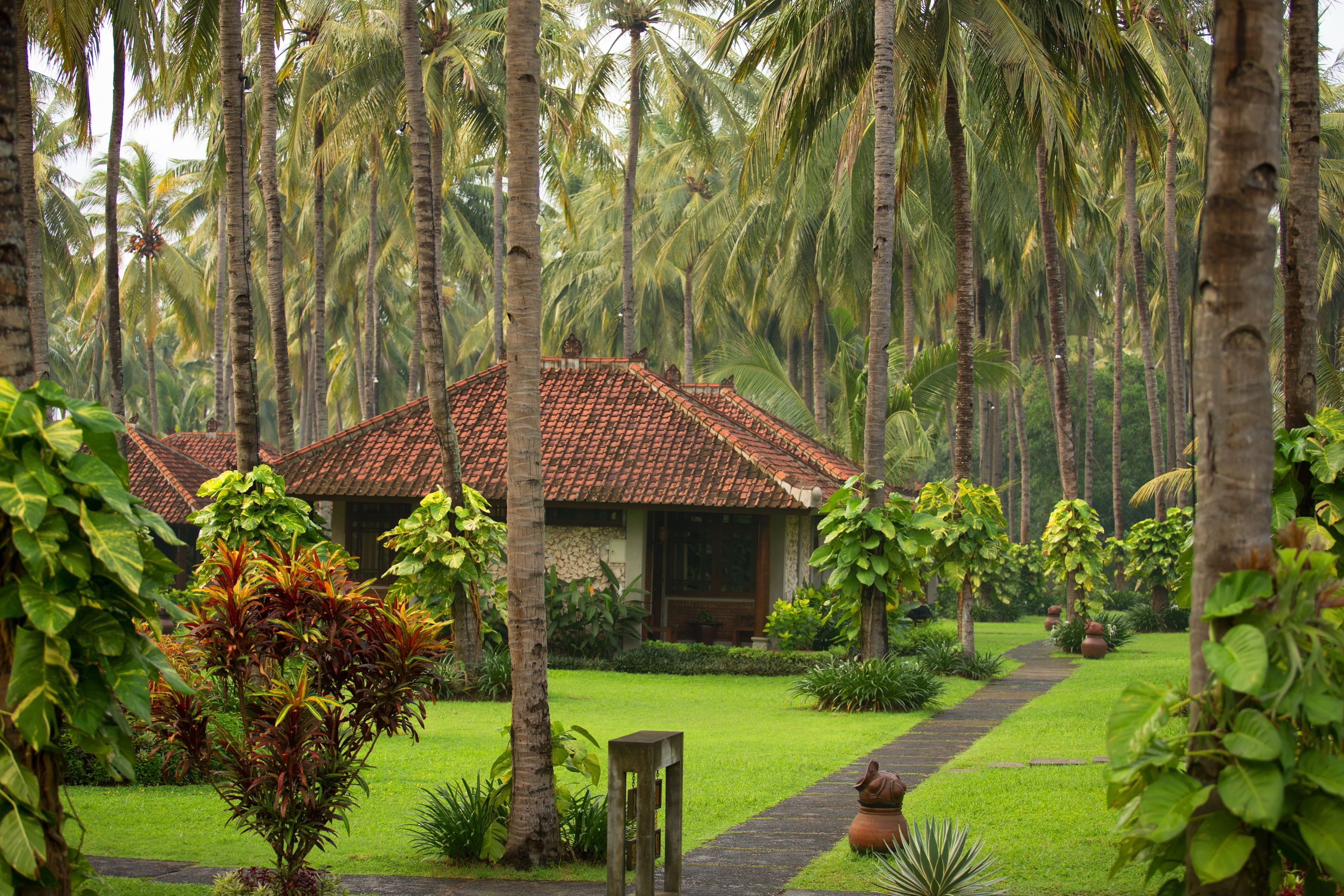 Un jardin tropical avec des palmiers, un sentier et un bâtiment doté d’un toit en tuiles.