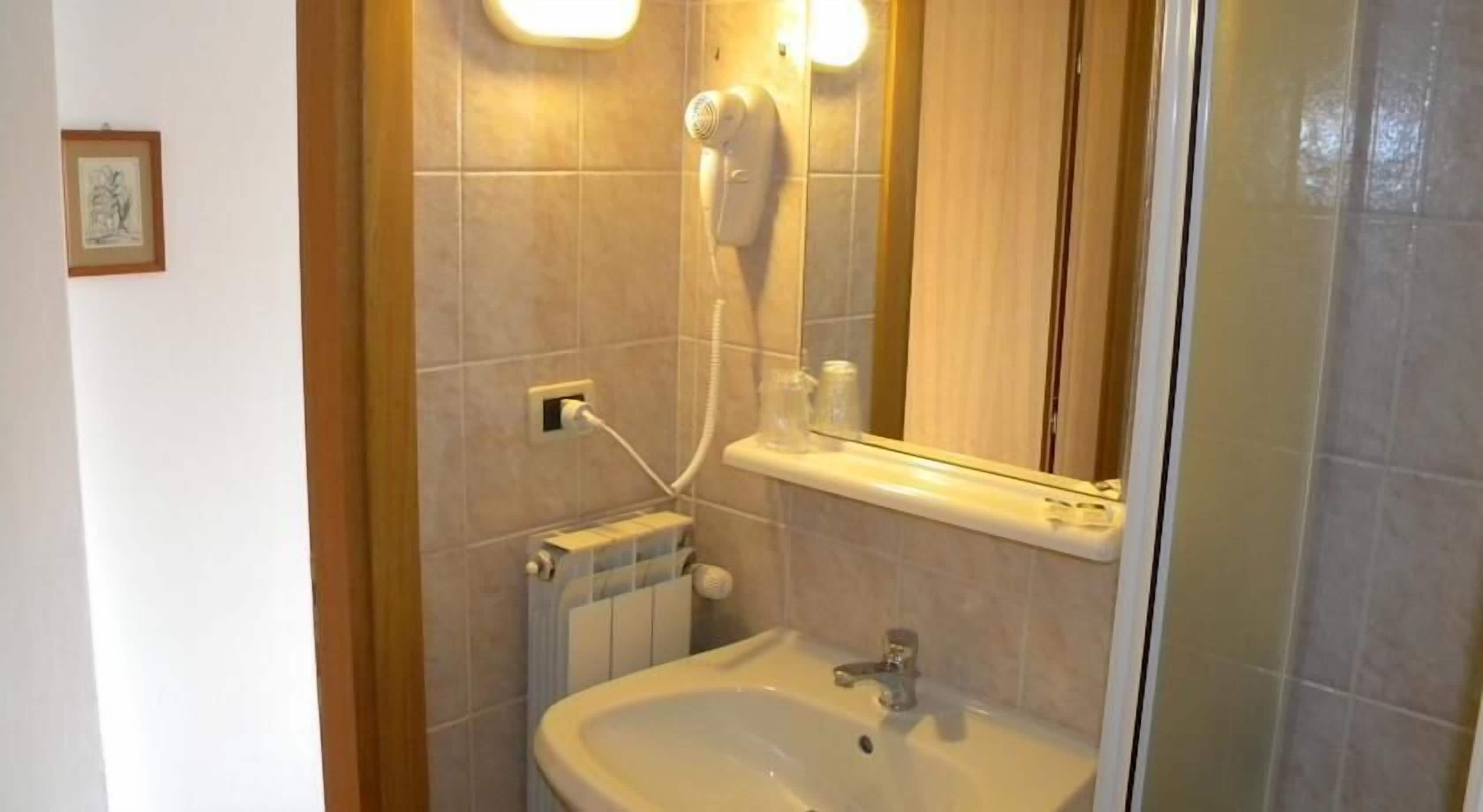 shower, free toiletries, hair dryer, bidet