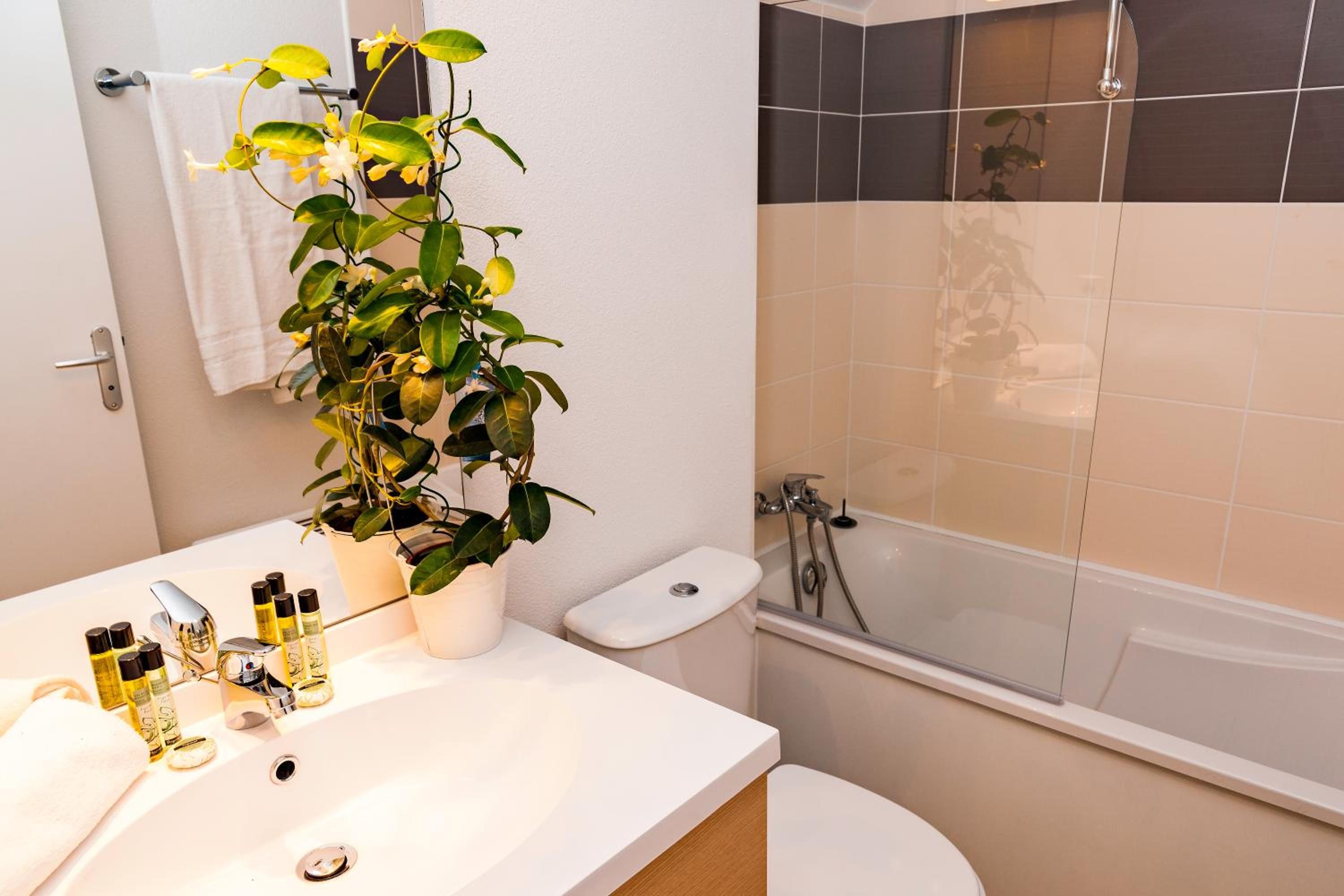 A bathroom with a white sink, a toilet, a shower, and a potted plant.
