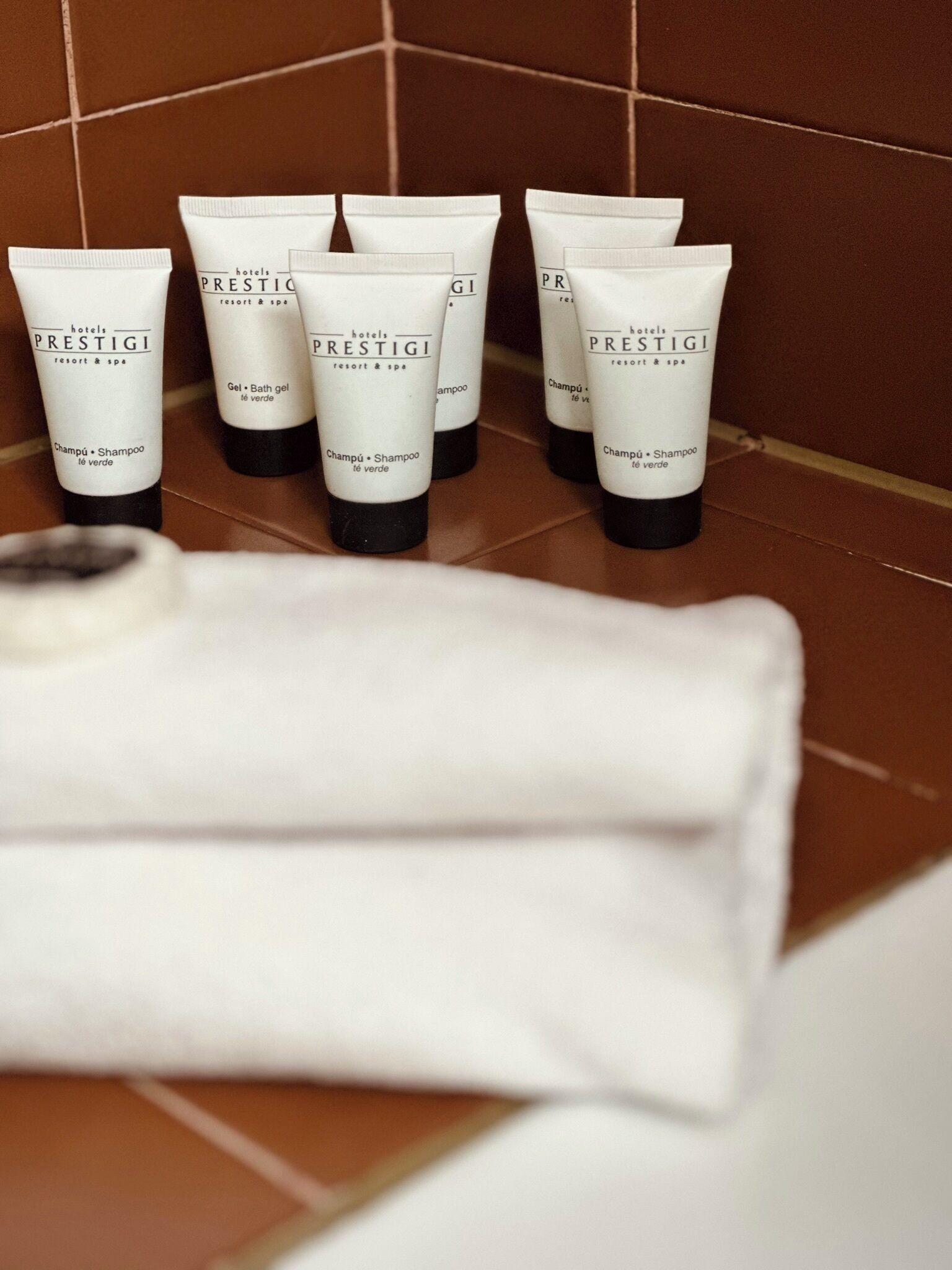 Foto - Andorra Palace