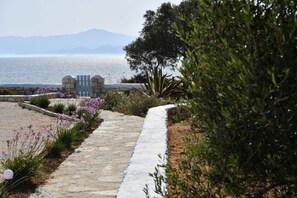 Property grounds - Ambelas Mare (Paros)