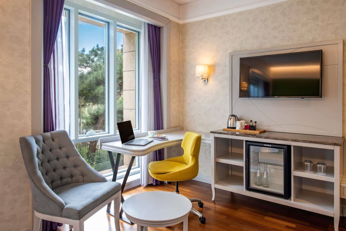 Superior Room, 1 Double Bed
