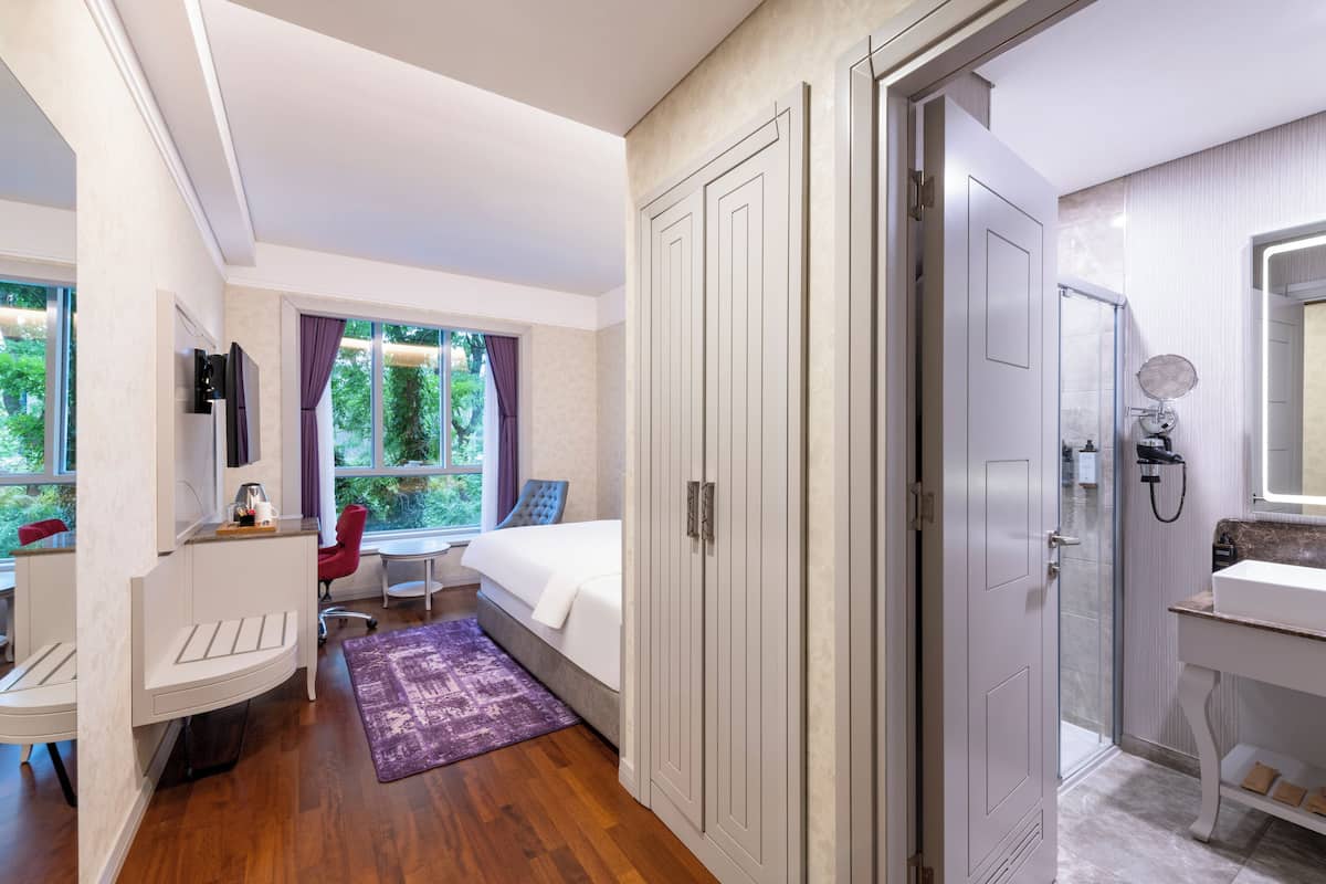 Standard Single Room, Non Smoking | Minibar, in-room safe, desk, soundproofing
