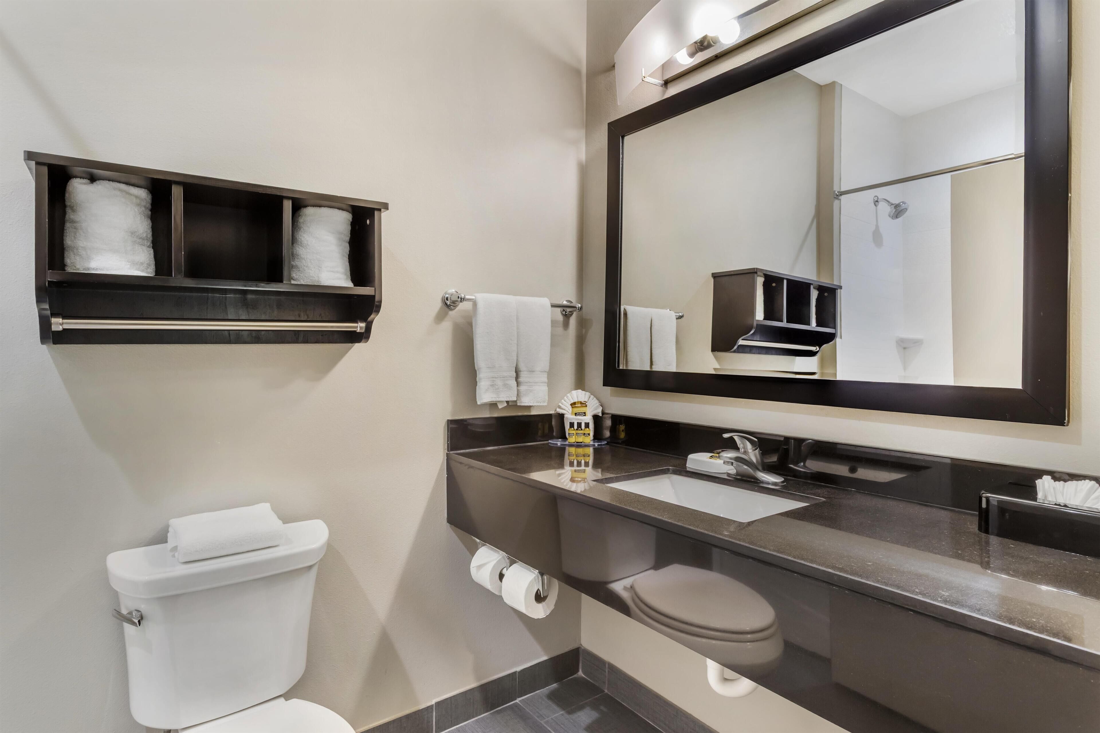 Suite, 1 King Bed, Non Smoking (with Sofabed) | Bathroom | Free toiletries, hair dryer, towels, soap