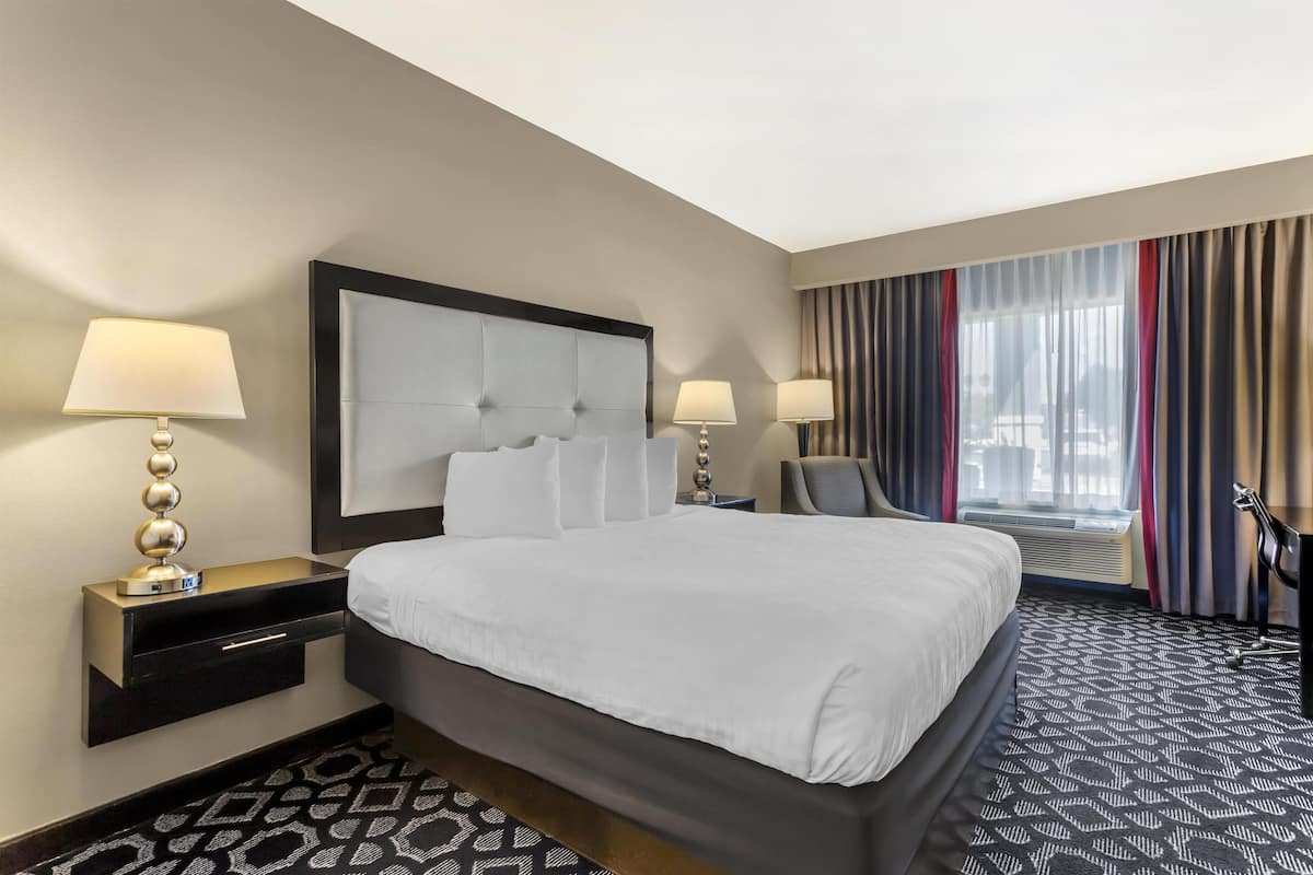 Standard Room, 1 King Bed, Non Smoking | Premium bedding, in-room safe, desk, iron/ironing board