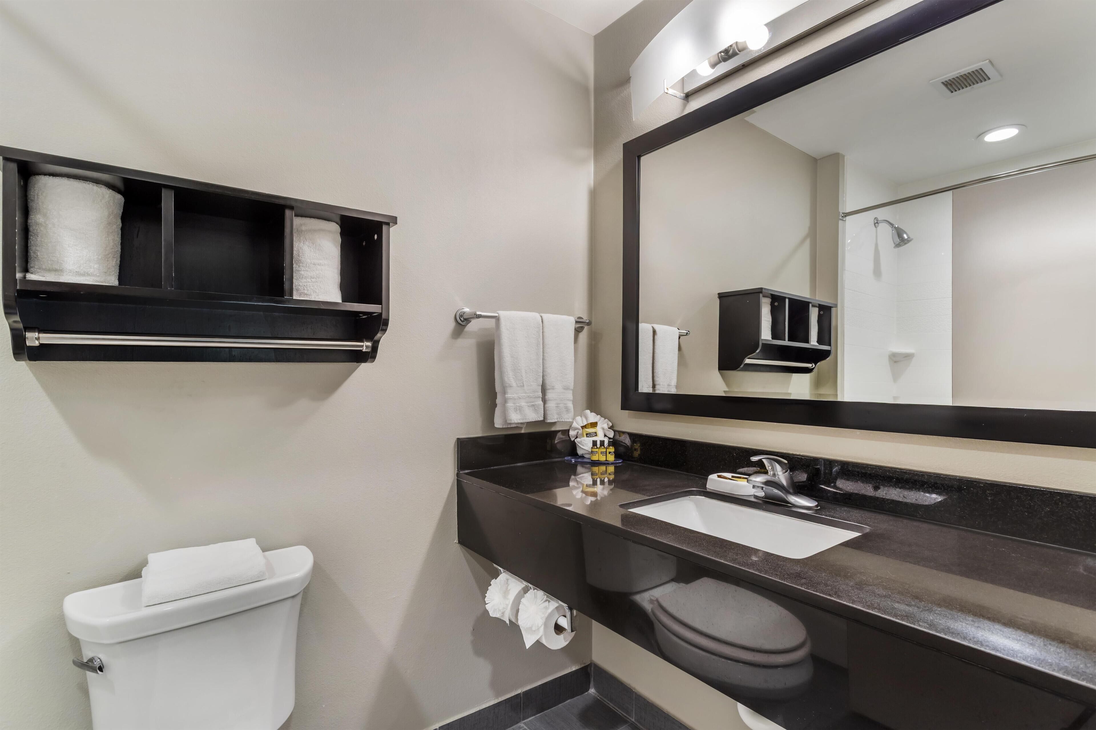 Une salle de bain moderne avec des toilettes, un lavabo et un miroir.