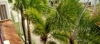 ลันตา สวีท แมนชั่น