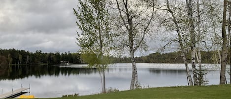 En stilla sjö med björkträd och en brygga.