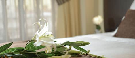 In-room safe, free WiFi