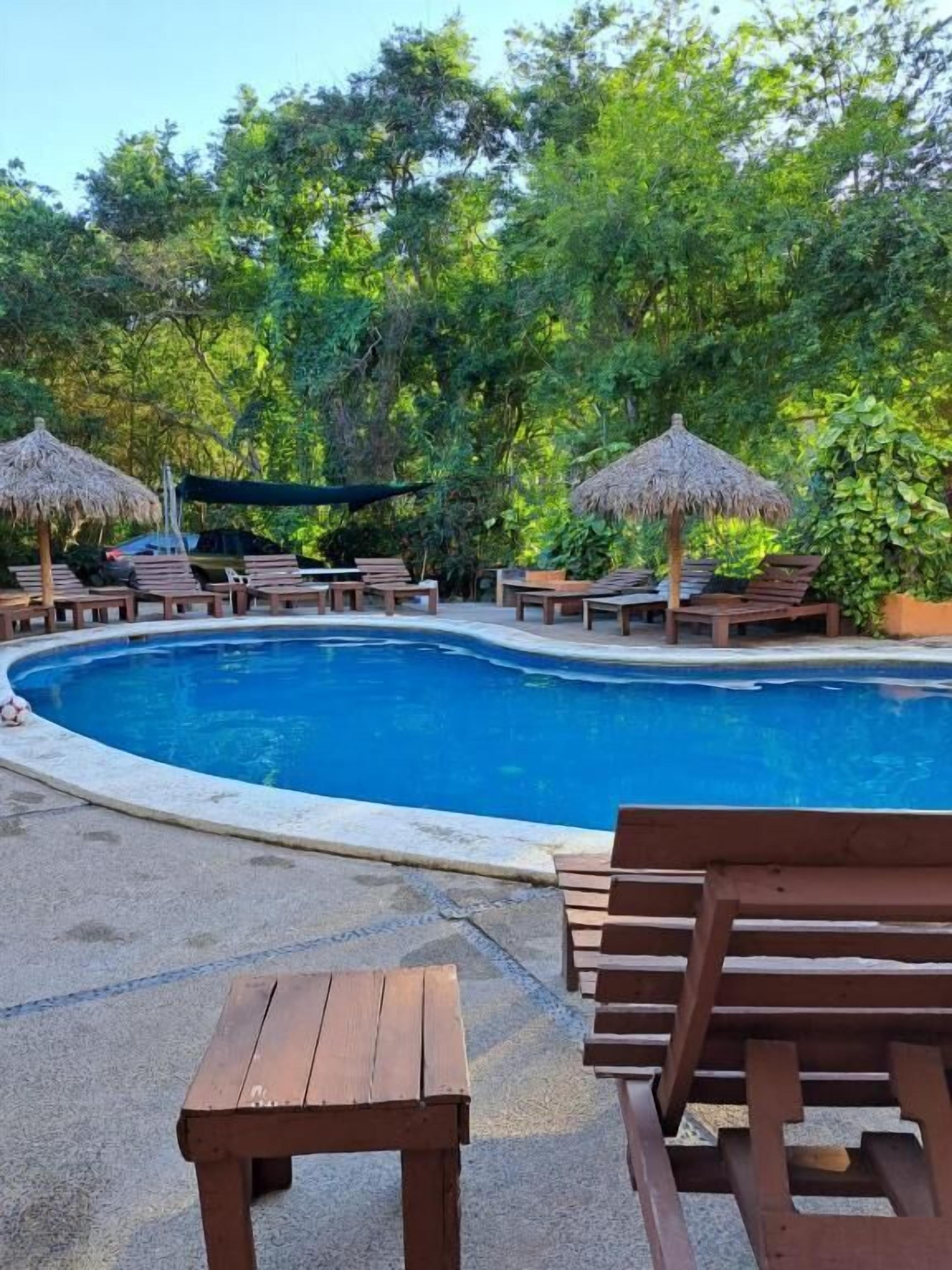 A pool area with wooden lounge chairs and thatched umbrellas, surrounded by lush greenery.