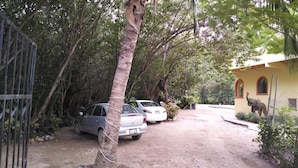 Un estacionamiento con dos coches aparcados cerca de una verja, rodeado de árboles frondosos.