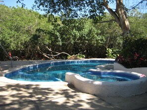 Una piscina con borde curvo, rodeada de abundante vegetación y árboles.