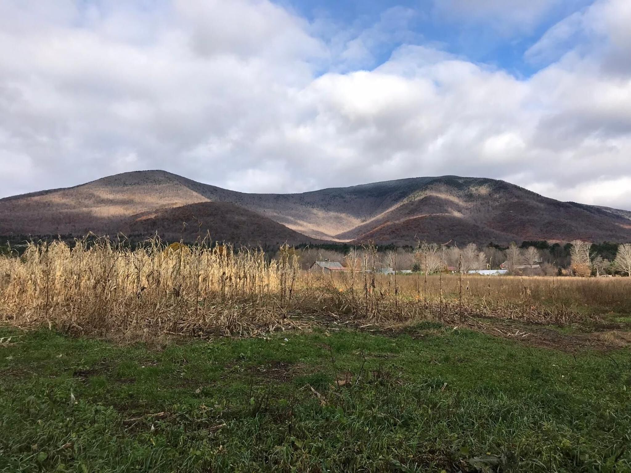 A mountainous landscape with a field in the foreground and a clear sky.