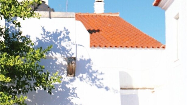 Una persona en una piscina, con un edificio blanco y techo de tejas rojas al fondo.