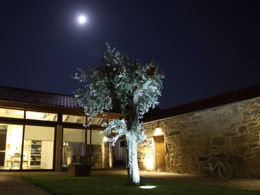 A modern building with large glass windows, a stone wall, and a bicycle leaning against the wall.
