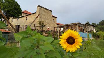 Un edificio de piedra rústico con tejado de tejas rojas, rodeado de vegetación y un girasol destacado en primer plano.