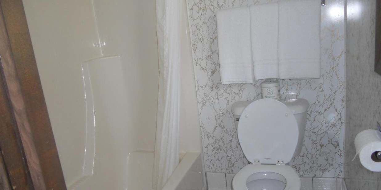 standard room, 2 double beds | bathroom | combined shower/bathtub, free toiletries, hair dryer