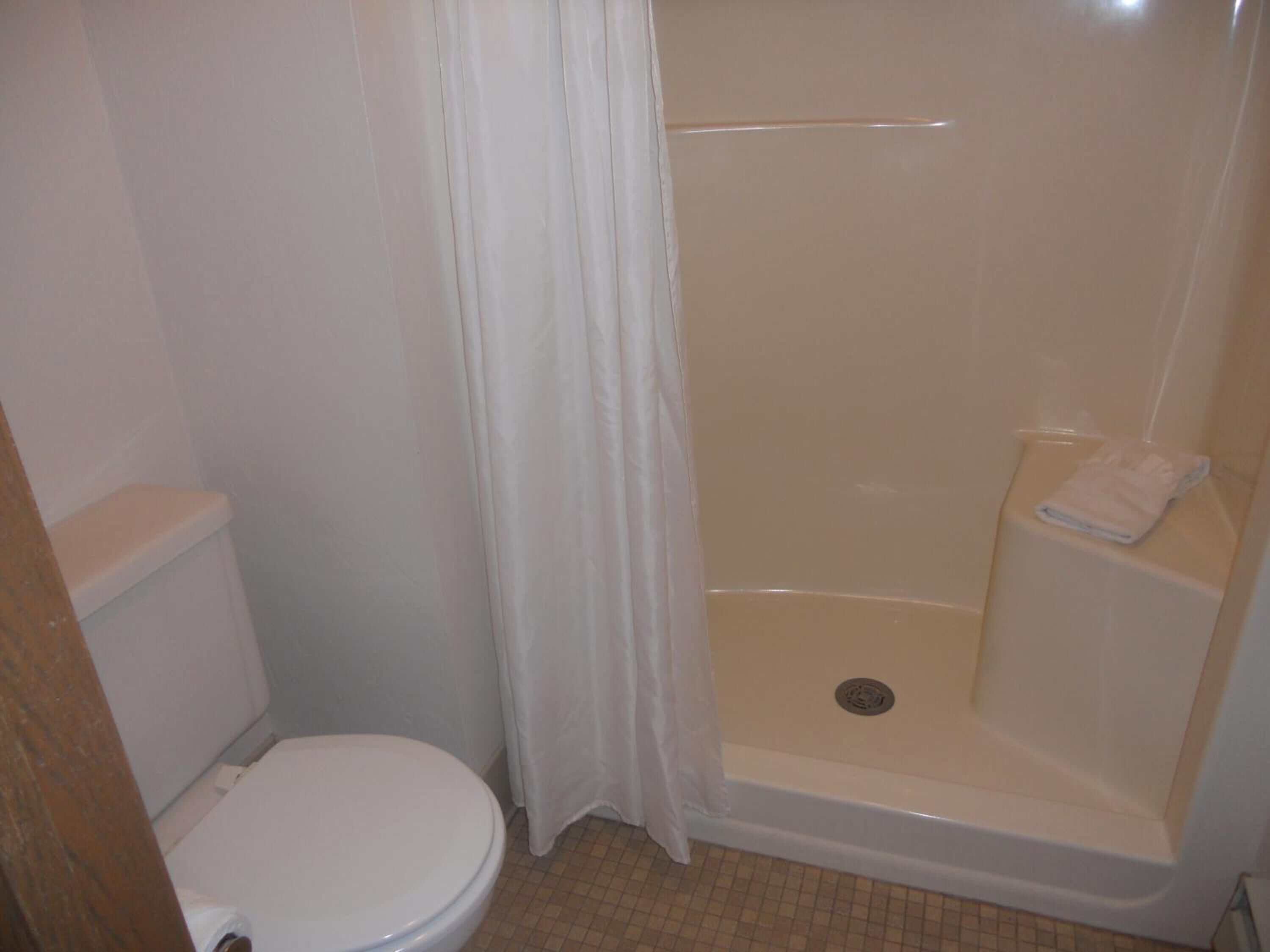 combined shower/bathtub, free toiletries, hair dryer