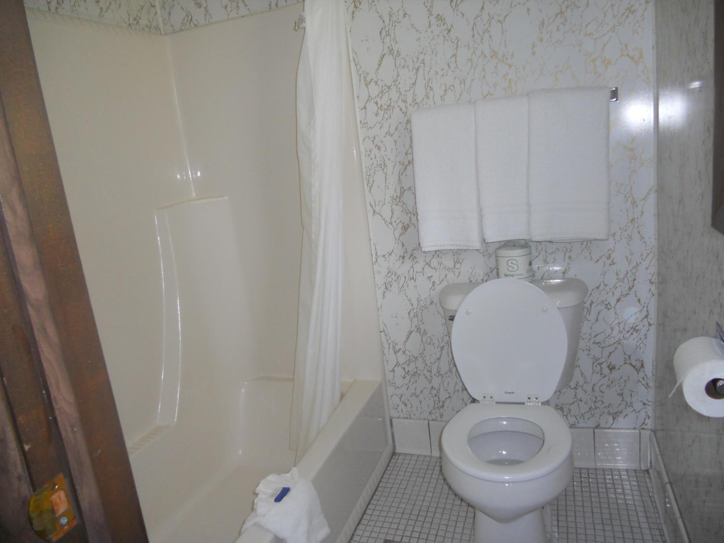 combined shower/bathtub, free toiletries, hair dryer