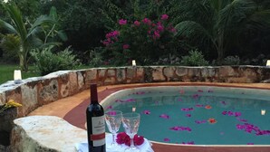 Piscina com vitórias-régias e uma garrafa de vinho sobre um parapeito de pedra.