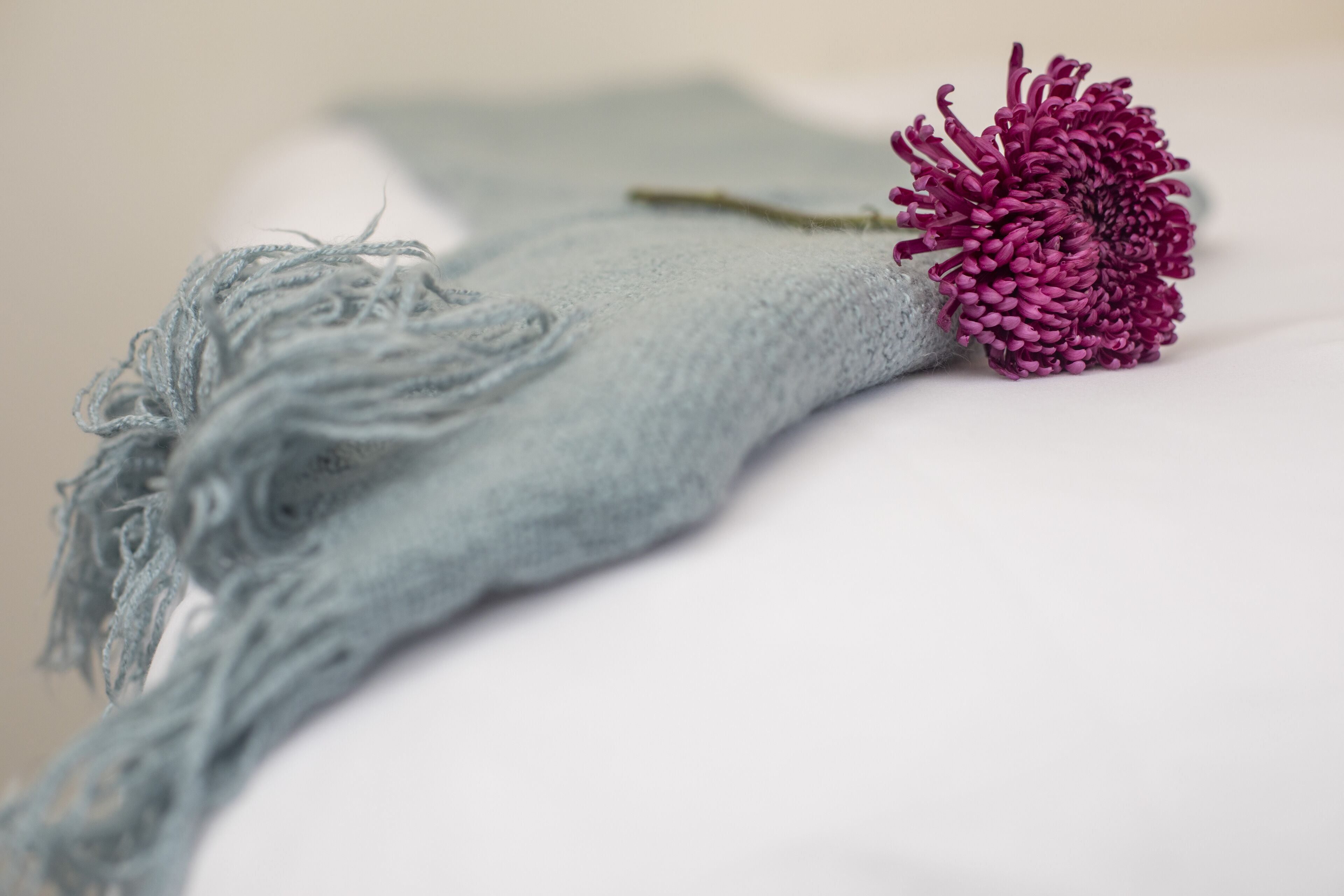 Photo - 1906 Mission